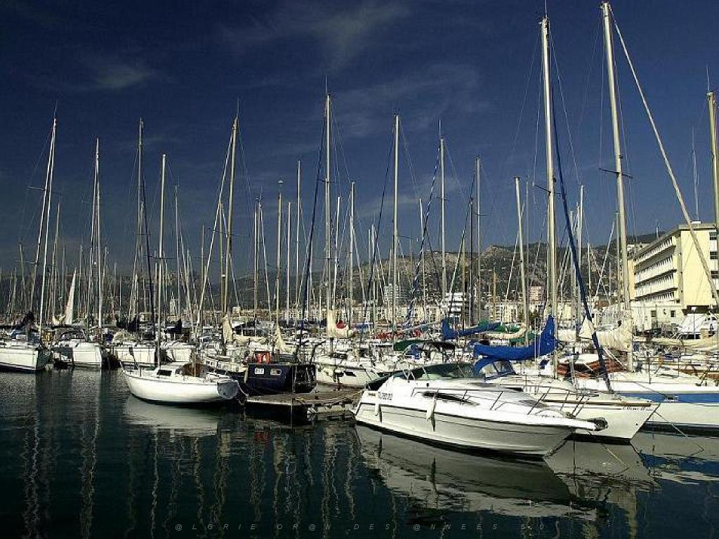 184 TOULON LA VILLE (88).jpg